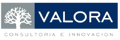 Valora Consultores